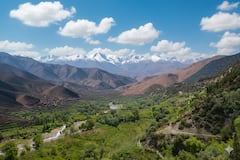 לגלות ציפורים בשלוות הרי האטלס הגבוהים