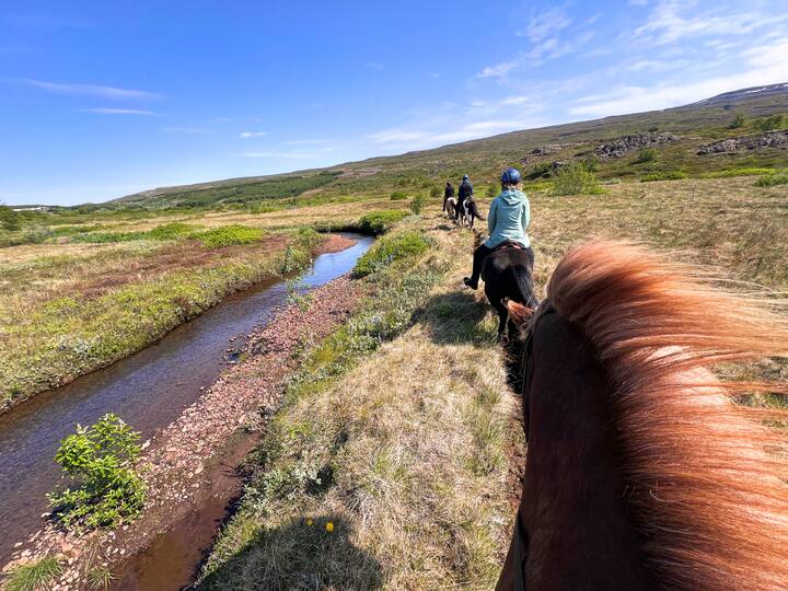 Parcourez la beauté sauvage de l'est de l'Islande