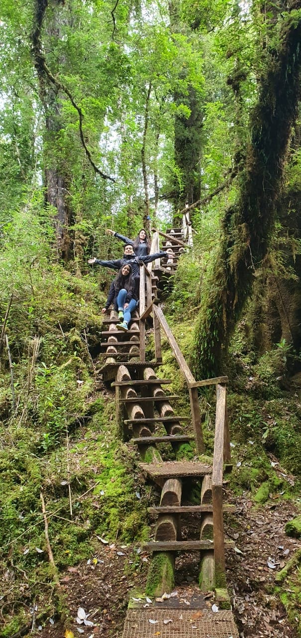 Hiking in Tantauco Park