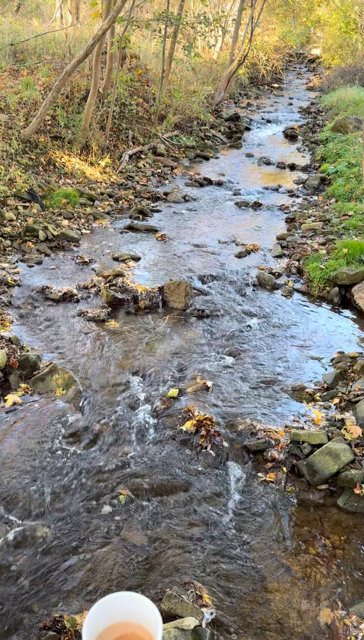 Пешеходен туризъм до водопади и късна закуска край поток