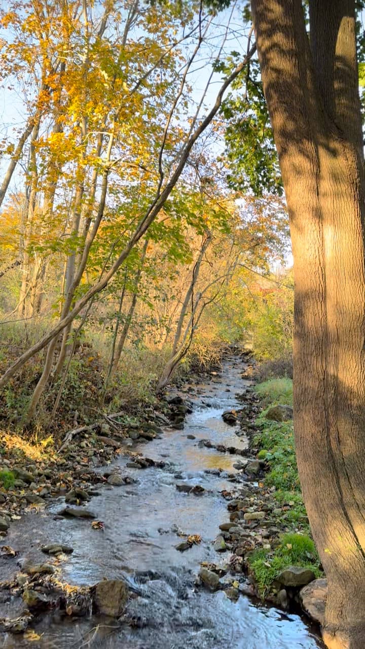 Пешеходен туризъм до водопади и късна закуска край поток