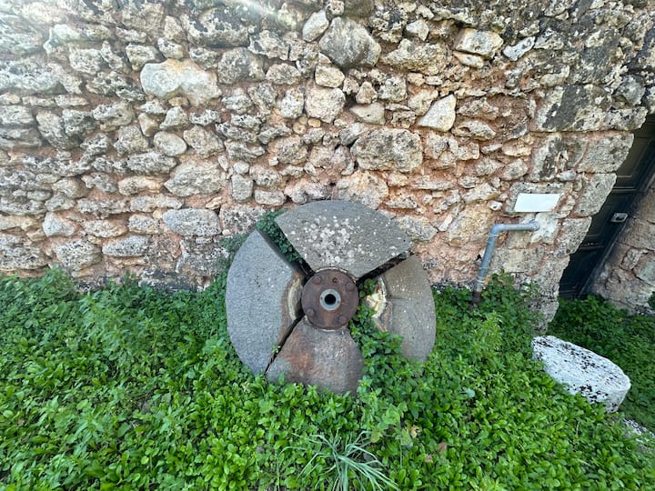 ერთი ჭიქა ღვინო ისტორიისა და ტრადიციის ფონზე