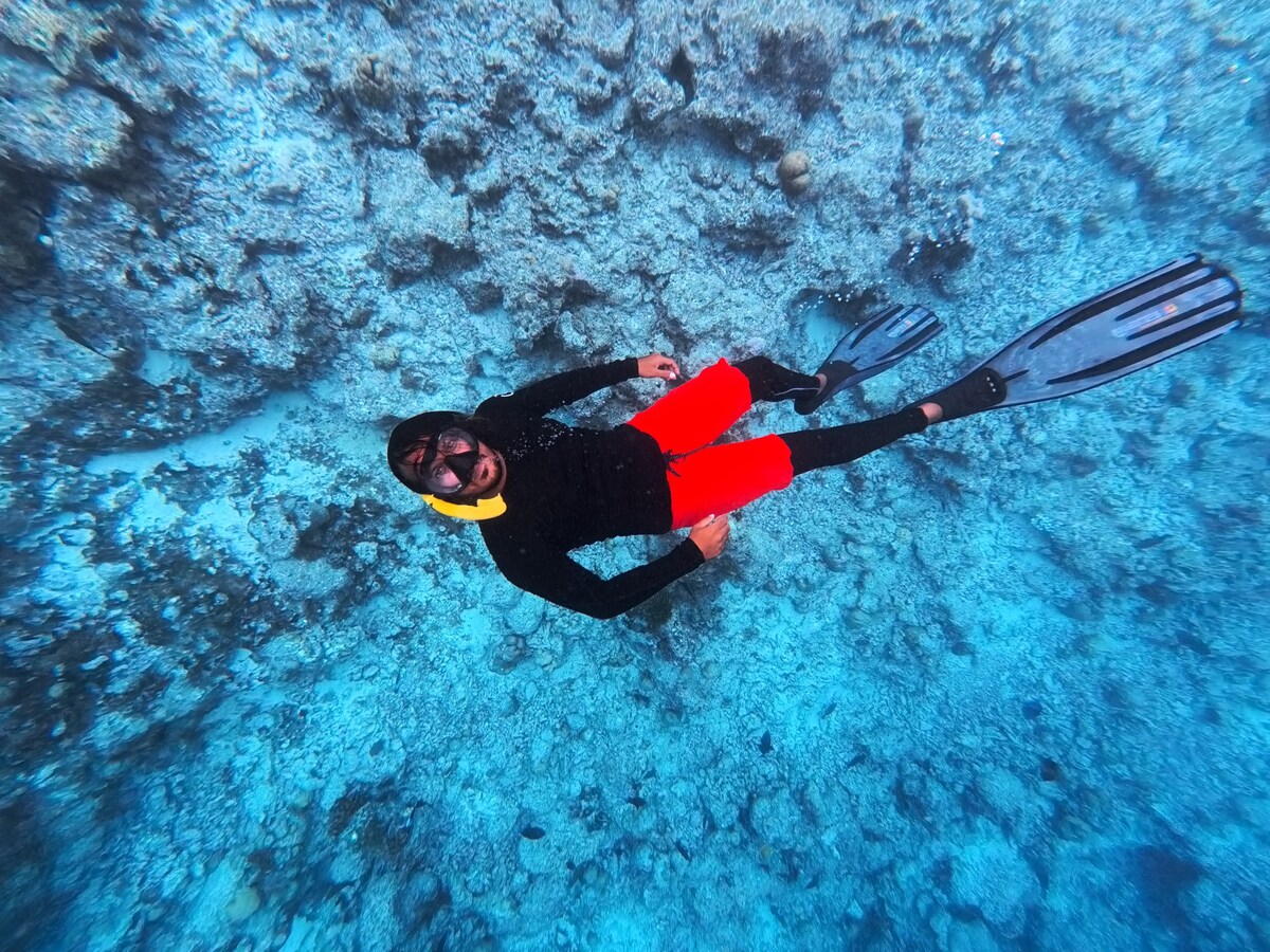 Visit a Local Cat Island with Guided Snorkeling