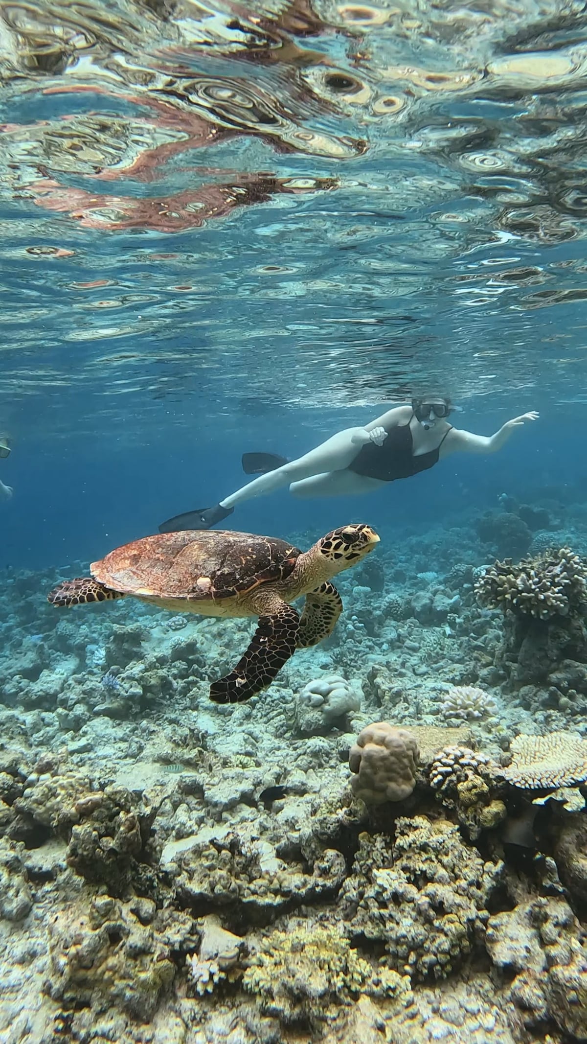 Visit a Local Cat Island with Guided Snorkeling