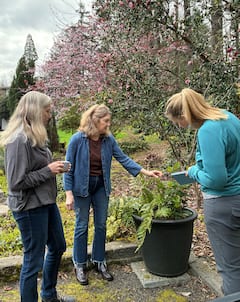 Aprende, prueba y crea en el jardín de un diseñador