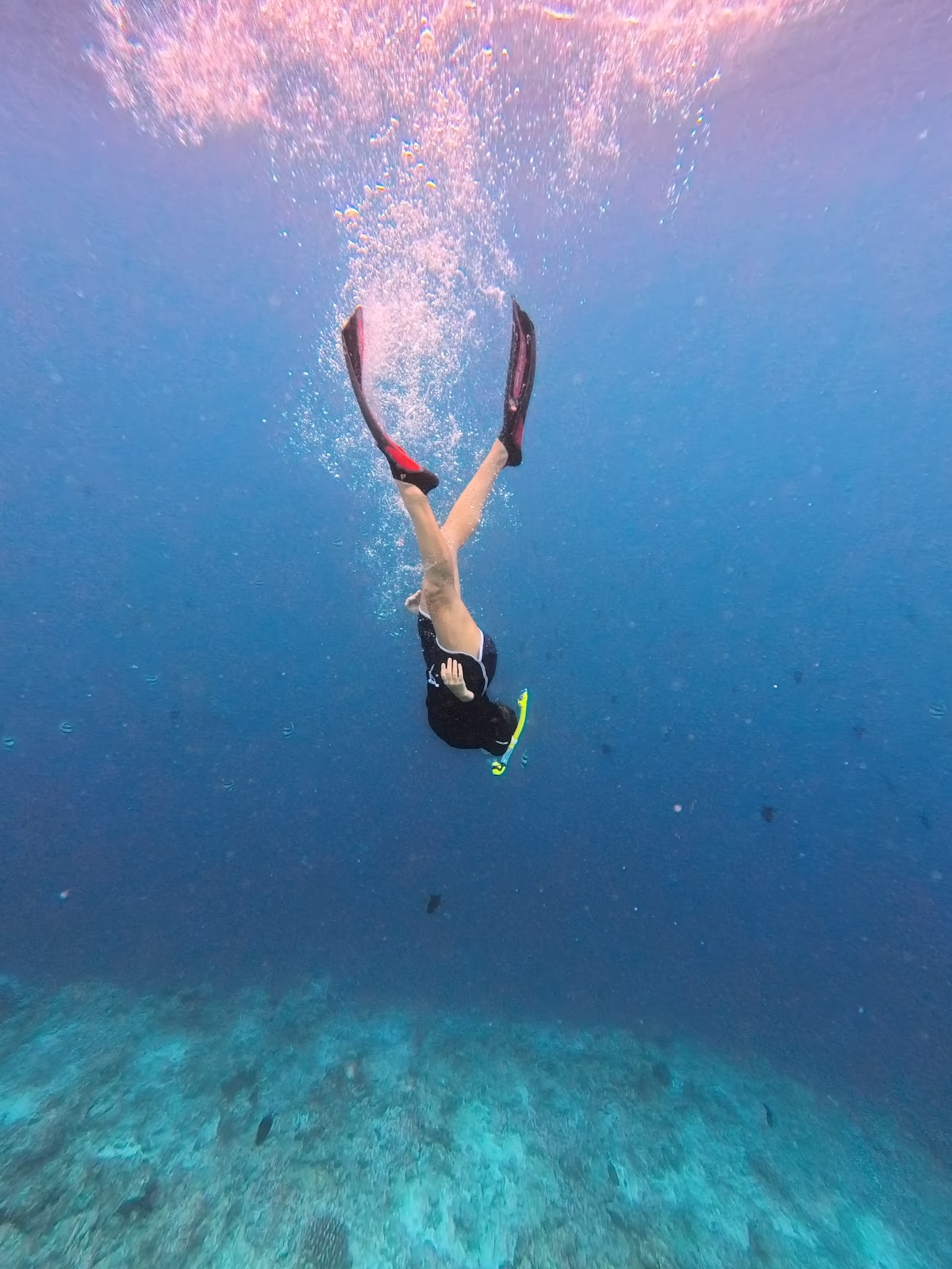 Villingili Day Trip with Hotel or Airport Pickup