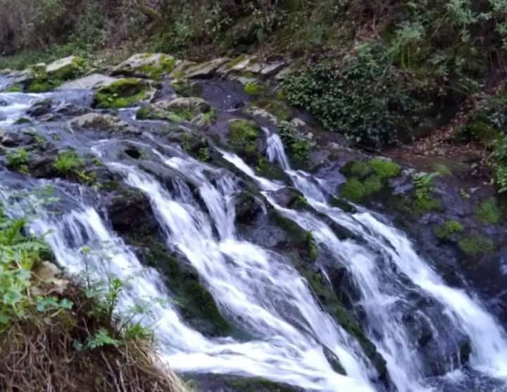 Rruga e interpretuar "zhurma e ujit"