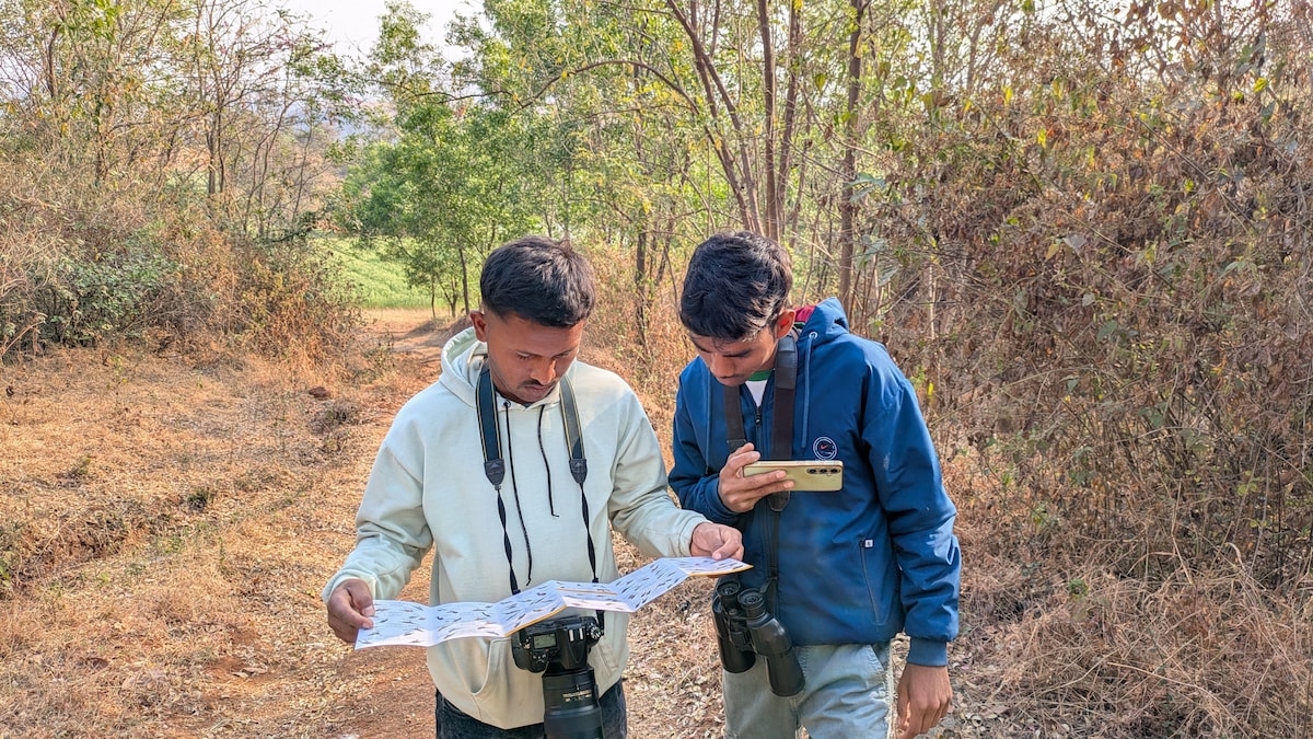 Birdwatching for Beginners