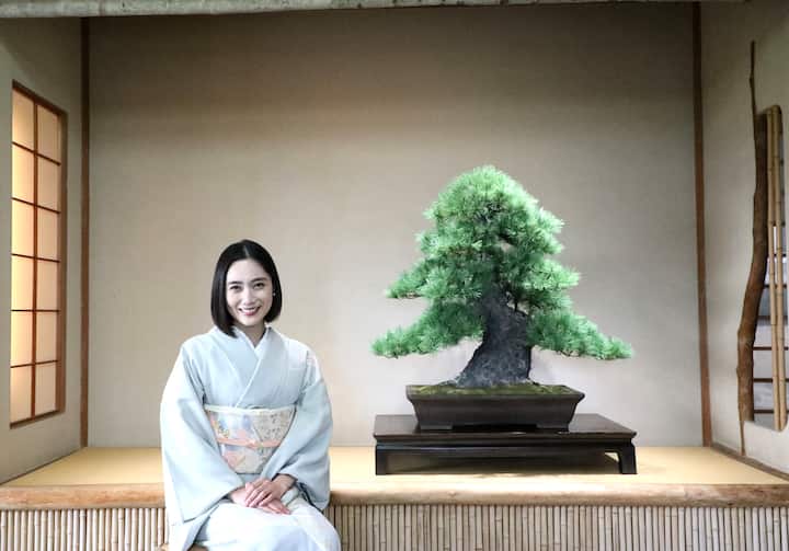 永遠の盆栽を作ろう – 時代を超えて愛される日本のアート