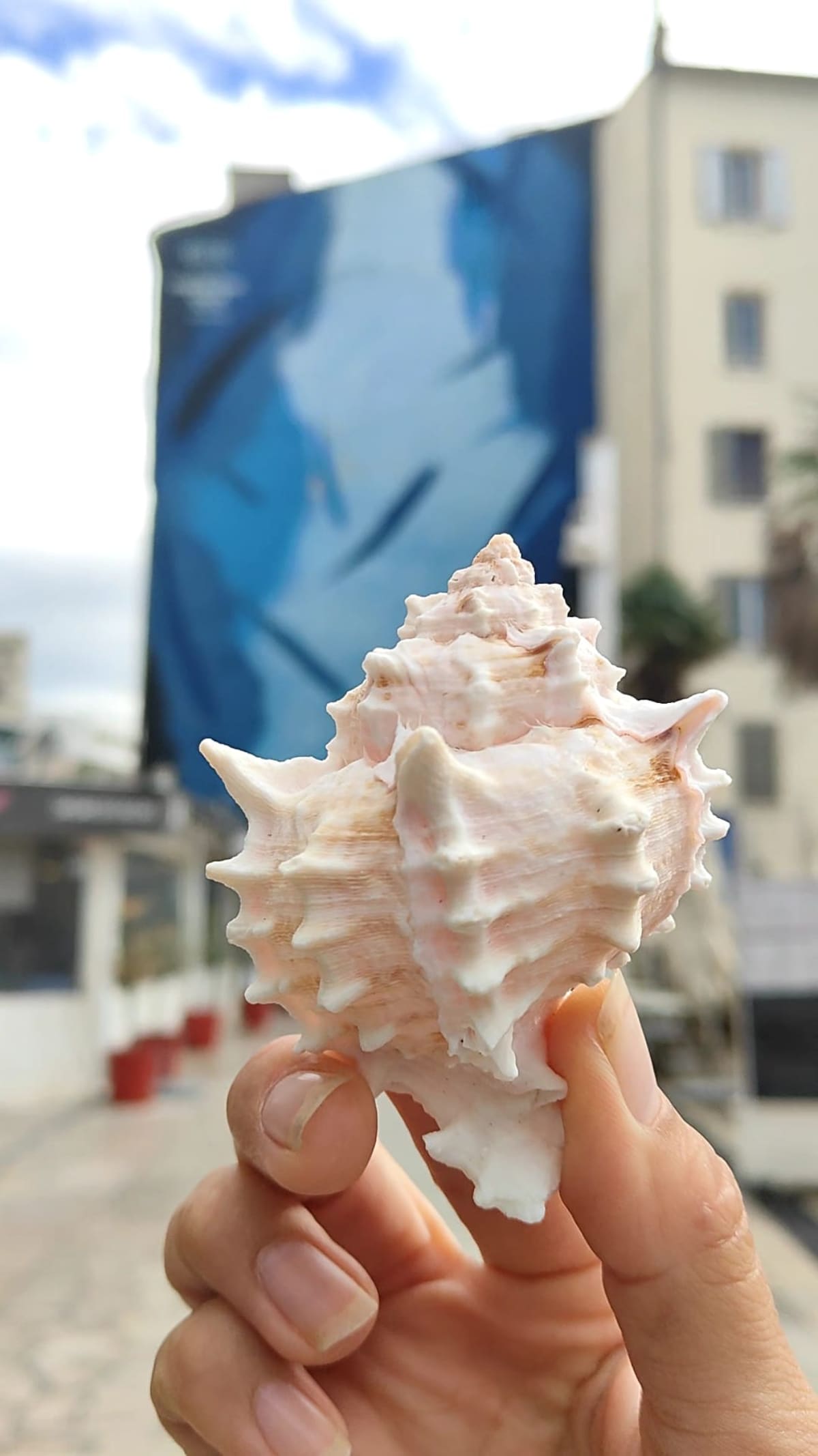 Toulon unusual tour - english