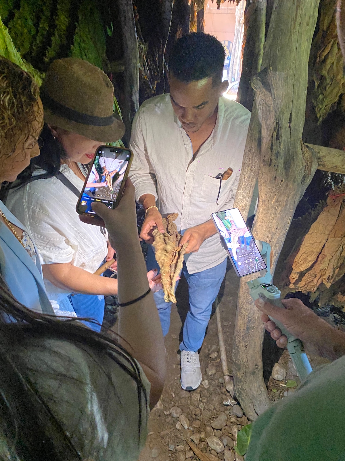 Cigar Experience in Santiago - Factory & Farm Tour