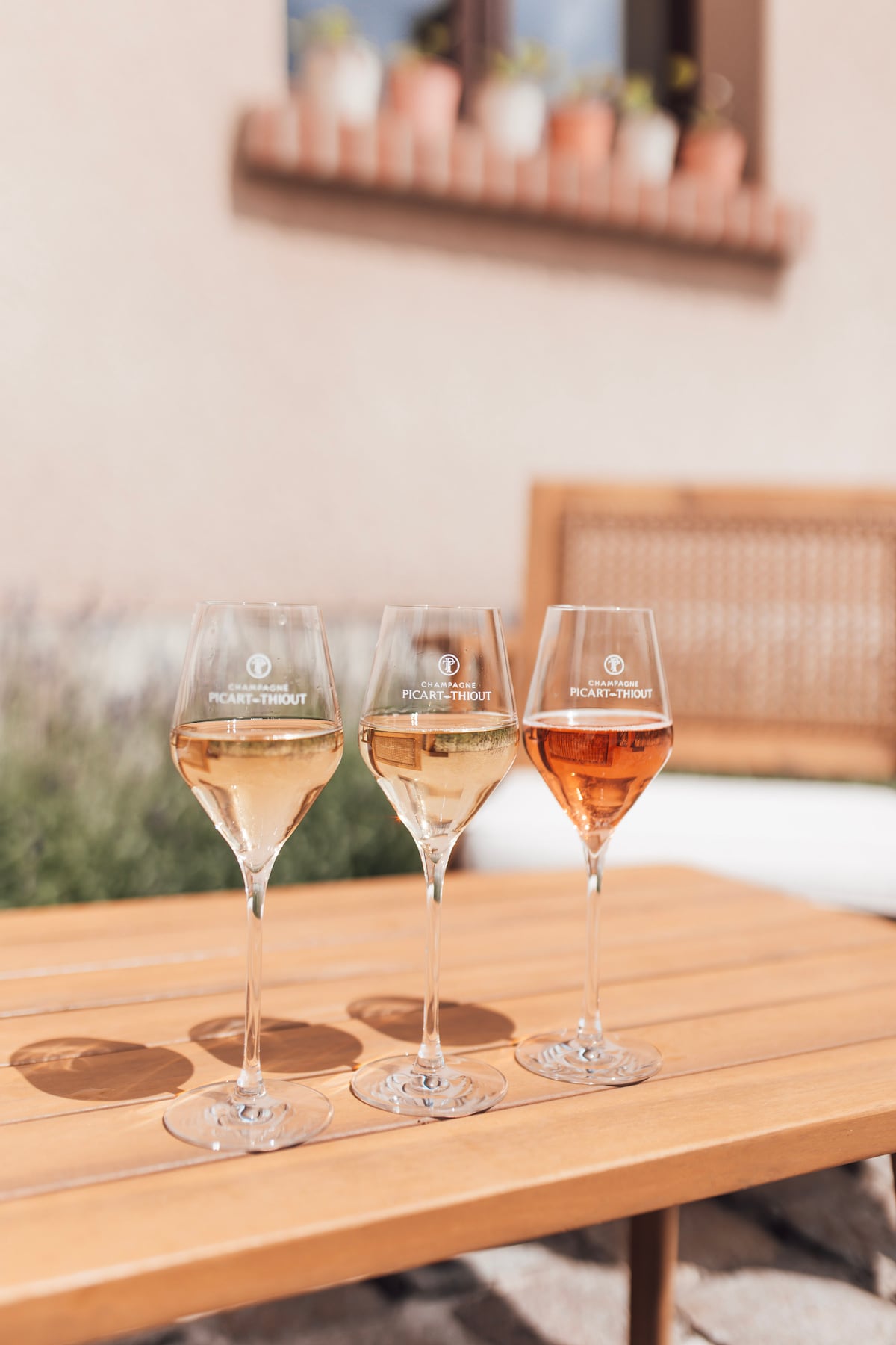 Discover a small family winemaker