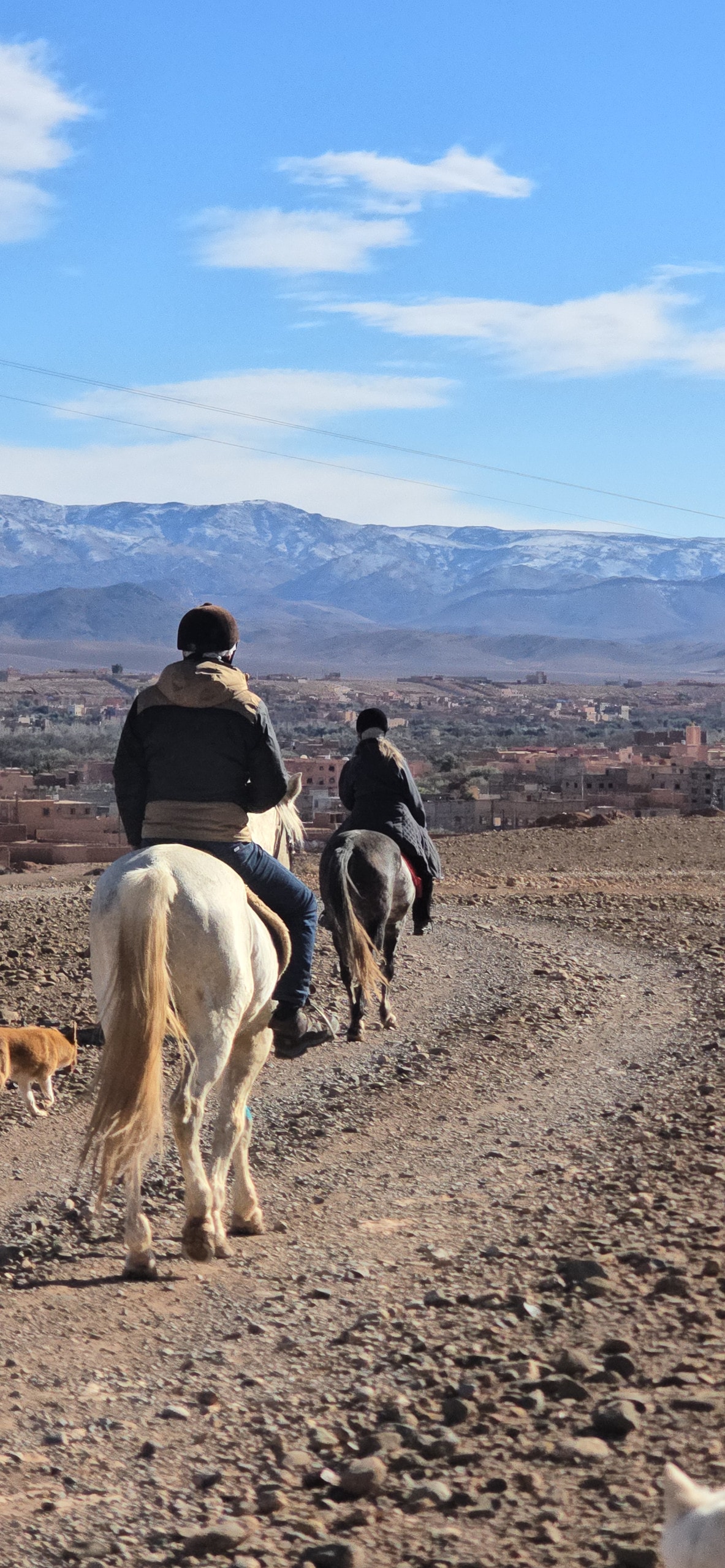 Ride horseback to old Dades ruins