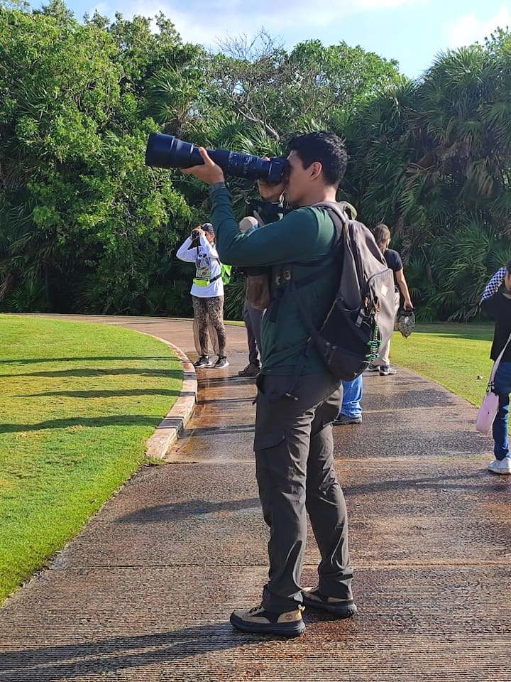 Ჩიტების დაკვირვება პლაია-დელ-კარმენი