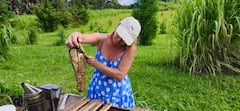 Hands-On Beekeeping & Honey Tasting in Hawaii