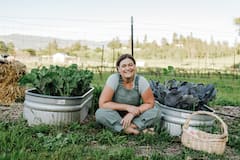From Farm to Muffin: A Sunflower Farm Experience
