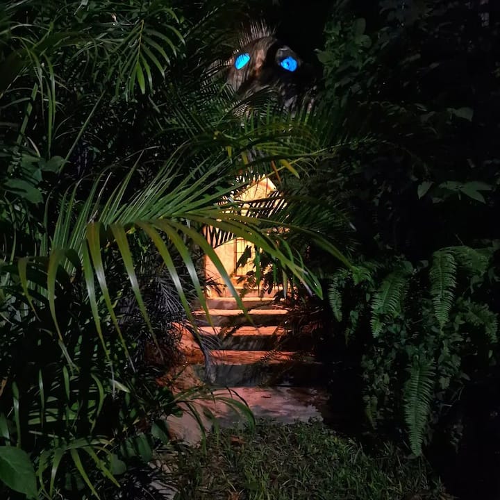 Recorrido natural de baño con agua beneficiosa y regeneradora