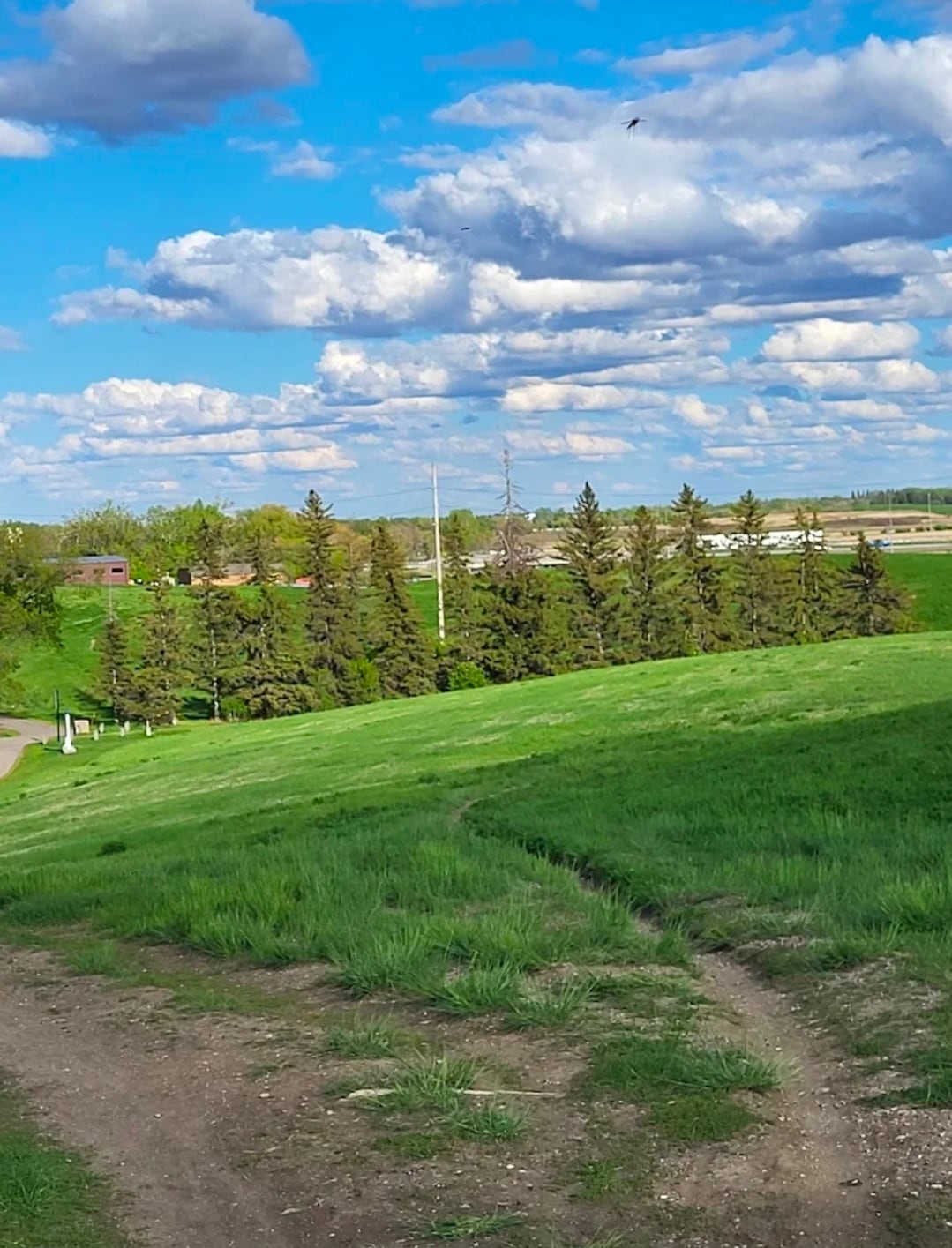 Regina Running Experience