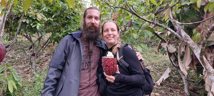 კაკაოსა და შოკოლადის გამოცდილება