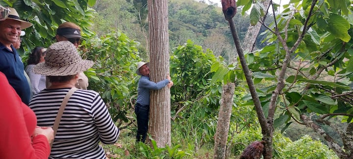 კაკაოსა და შოკოლადის გამოცდილება