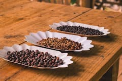 Recorrido por la plantación y la fábrica de café de Samaná