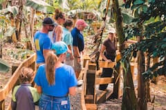Recorrido por la plantación y la fábrica de café de Samaná