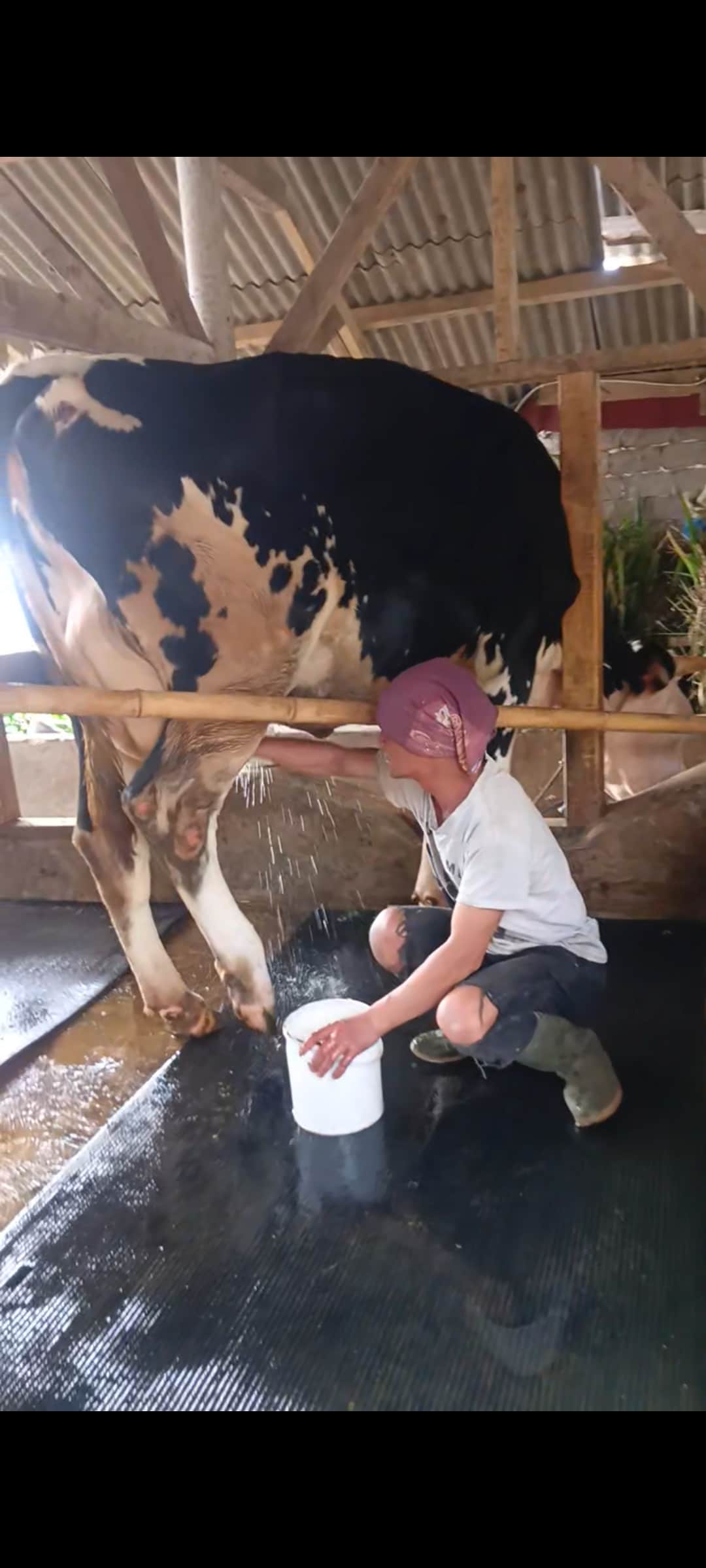 Lembang Heritage: Ancient Fault & Colonial Secrets