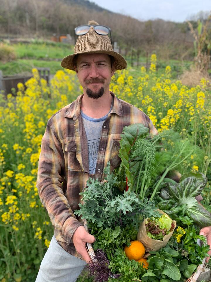Harvest seasonal veggies on a farm