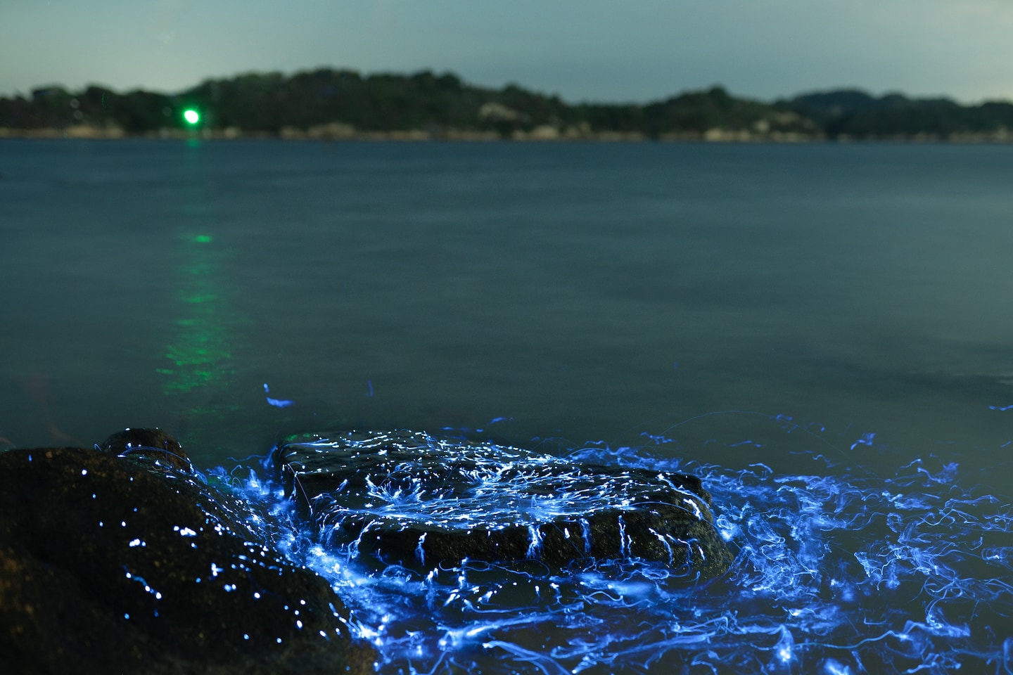 Surreal Bioluminescent Night Experience · ☆5.0