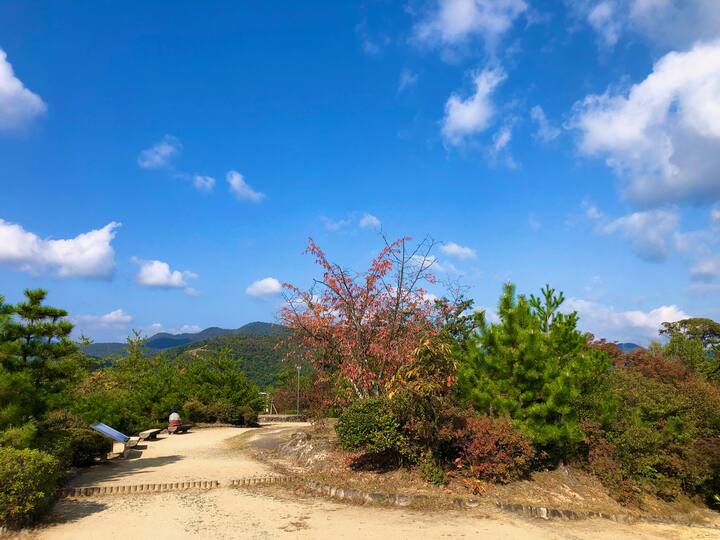 Kyoto Zen Morning: Early Zazen & Hilltop Breakfast