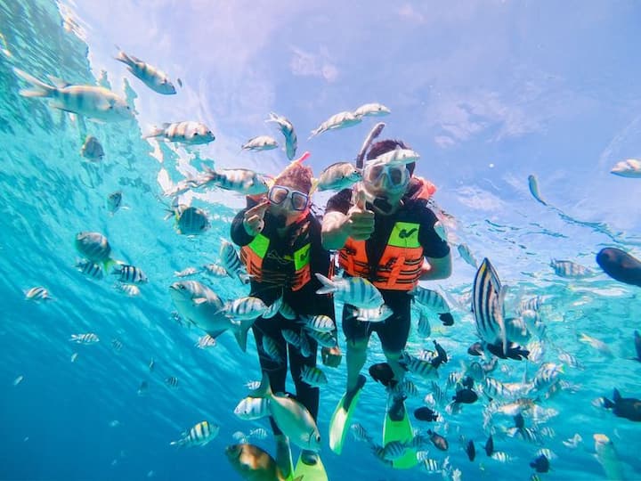 აღმოაჩინეთ მანგროვები და ვარდისფერი პლაჟი ლომბოკზე