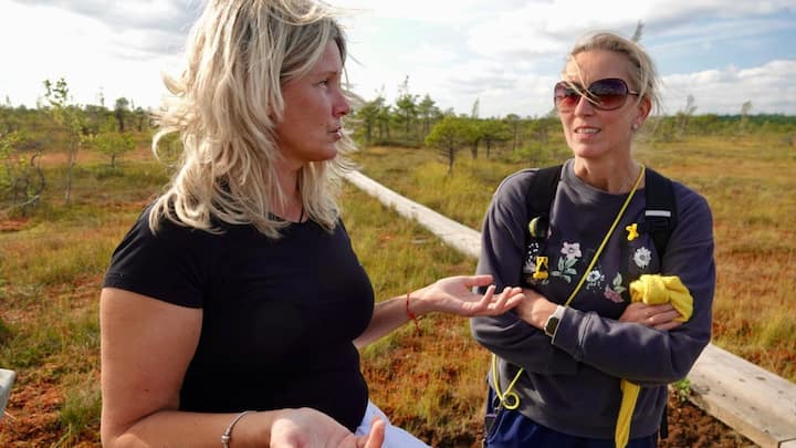 Nga Riga: Tur në Jūrmala, Kemeri dhe Detin Baltik