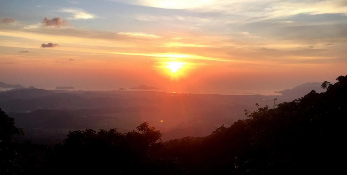 JungleWalla Langkawi Rainforest After Dark Tour