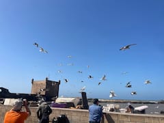 חופשה יומית בחוף אסאווירה
