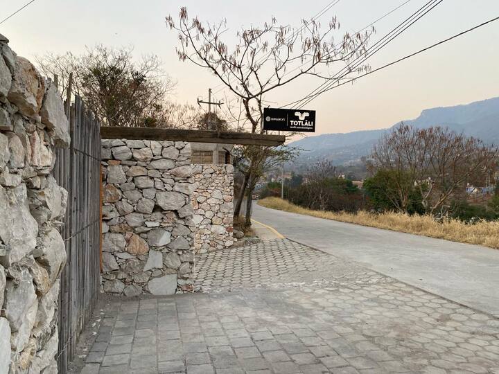 Საღამოს გასეირნება ციცინათელების ჯადოსნურ გარემოცვაში