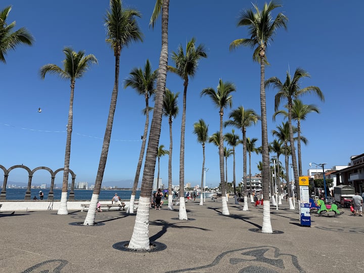 Puerto Vallarta: 8 Tastings from Market to Malecón