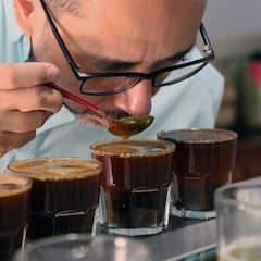 לא טיפית: החוויה של Typica Coffee