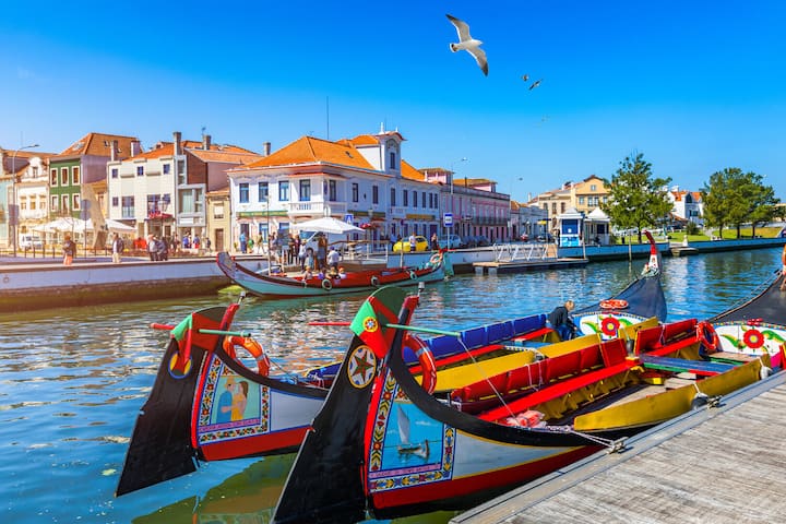 Ziara ya Aveiro na Costa Nova ya Nusu Siku