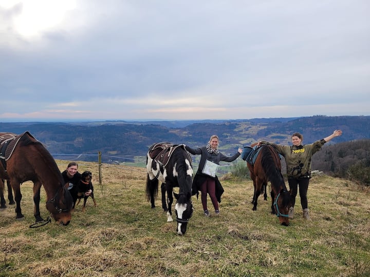 Equestrian Farm Immersion Experience