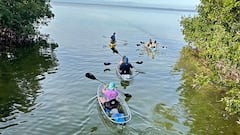 ทัวร์ Clear Kayak Eco ที่ Robinson Preserve-Bradenton
