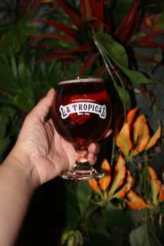 Paint Your Pint With Wynwood Breweries