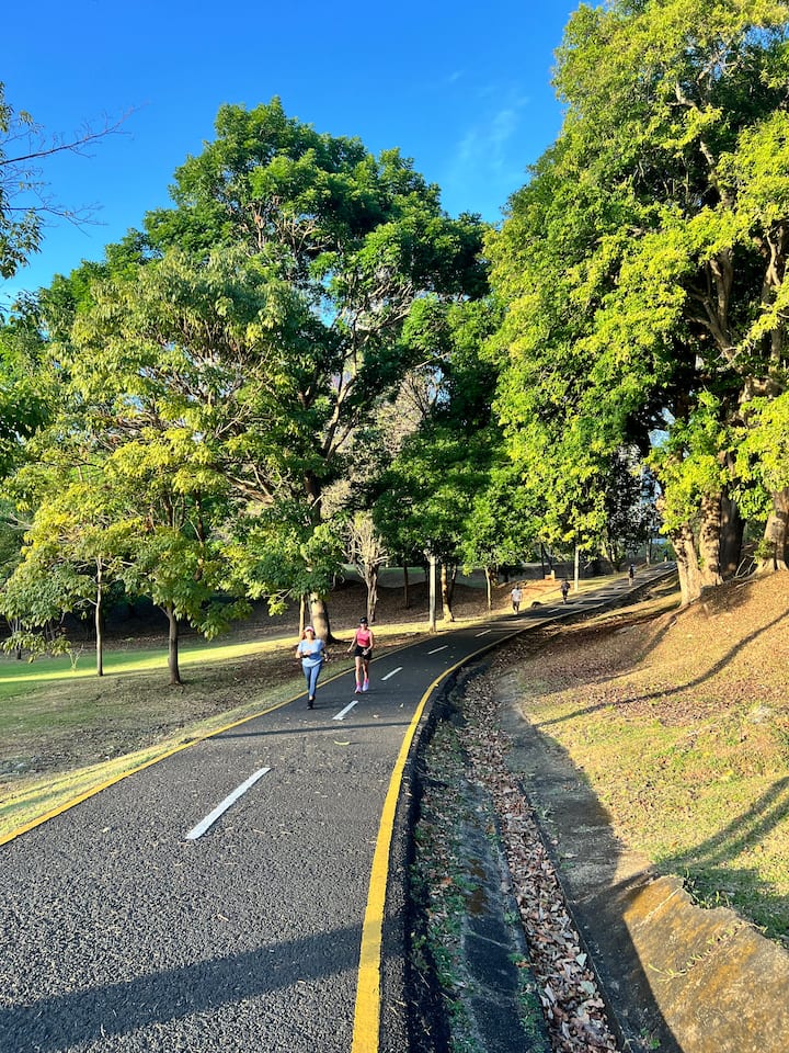 საუკეთესო დრო ქალაქის ყველაზე მწვანე პარკში გასეირნებისთვის