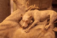 Vatican Museums and Sistine Chapel tickets in Rome