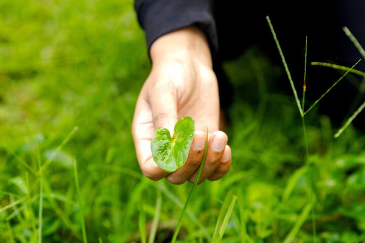 Uncover sustainable living at Mana