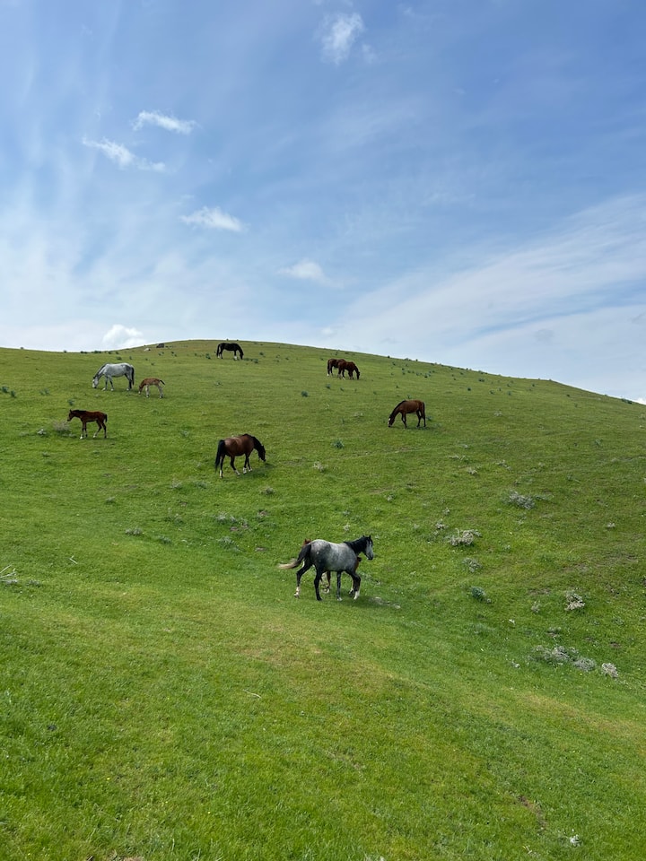 სამარკანდის მთაში ლაშქრობის ტური ქალაქის რუტინისგან თავის დასაღწევად