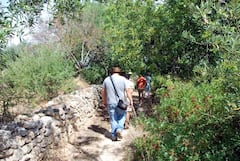 לגלות את ההריסות הרומיות עם ארכיאולוג