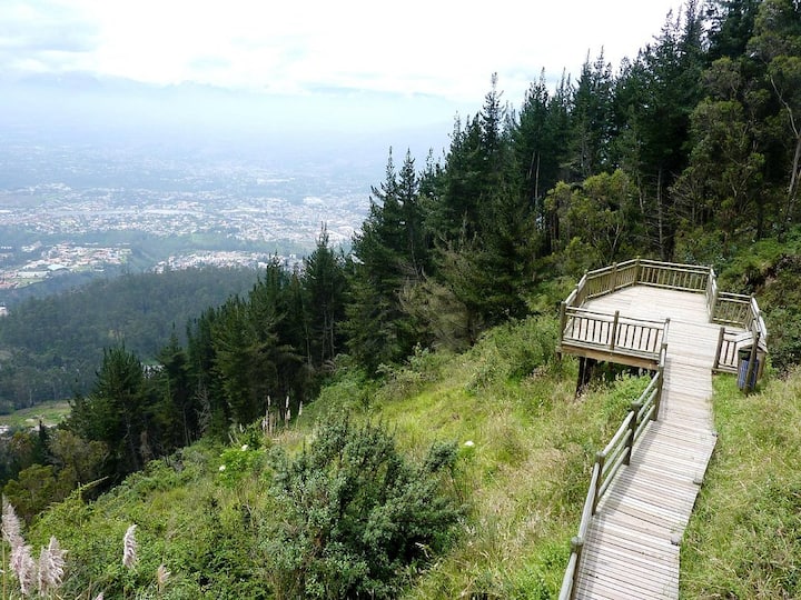 Cours de salsa, fruits exotiques et promenade dans la nature à Quito