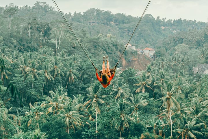 Shëtitje në Ubud me shilarëse në xhungël dhe tempull ujor