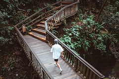 Visita el Bosque de los Monos de Ubud y la cascada de Tegenungan