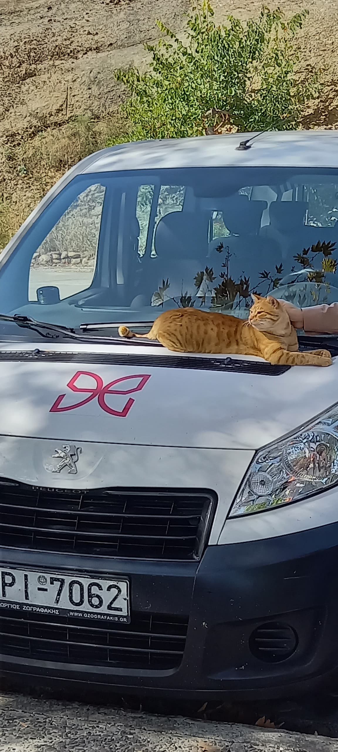 Monastères des Météores et grotte de Theopetra (-130 000)